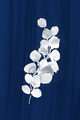 Image Not Available